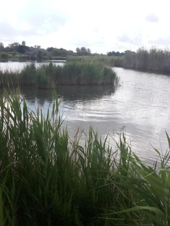 La Maison Perchee Aigues-Mortes Eksteriør bilde