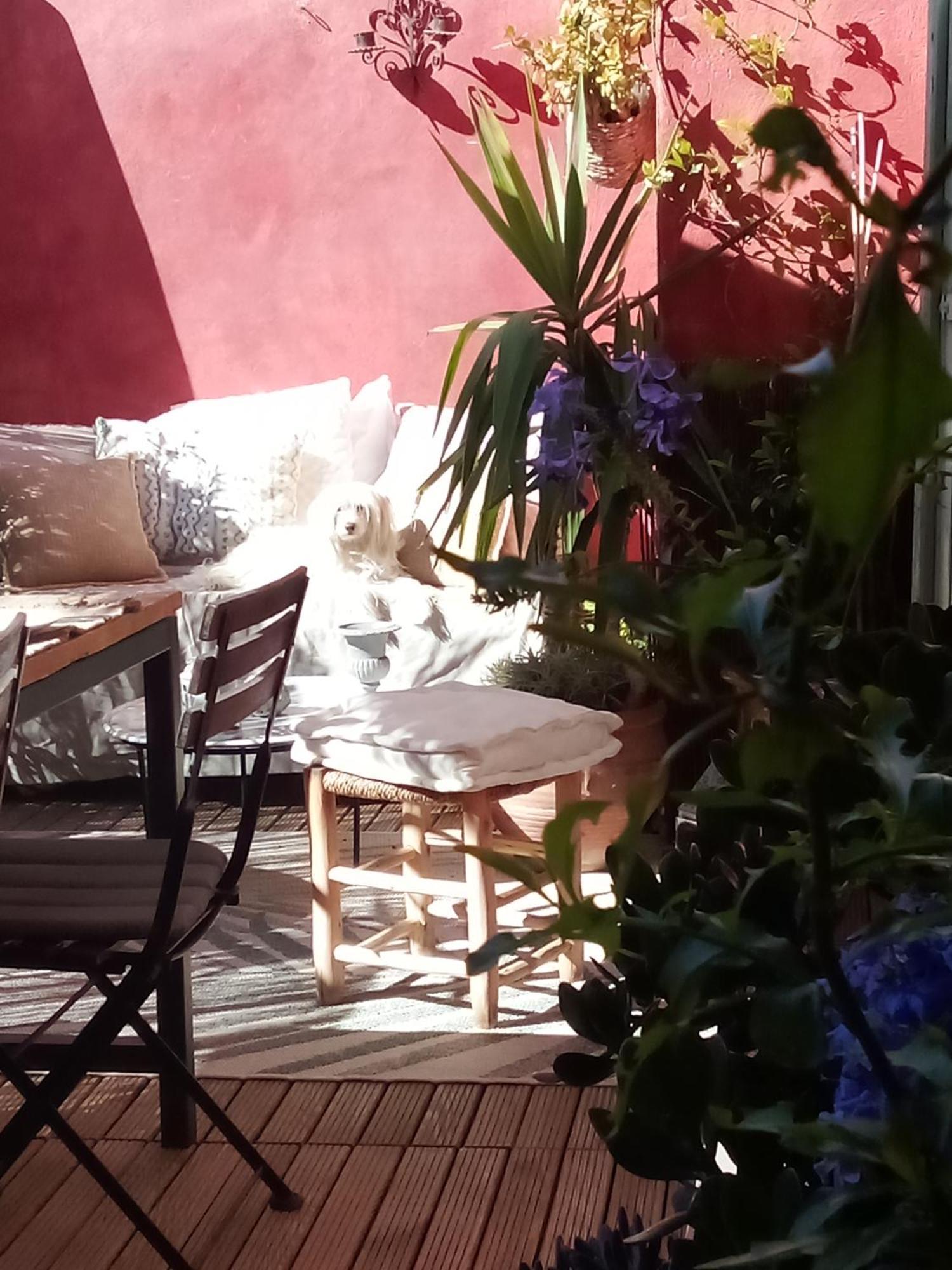 La Maison Perchee Aigues-Mortes Rom bilde